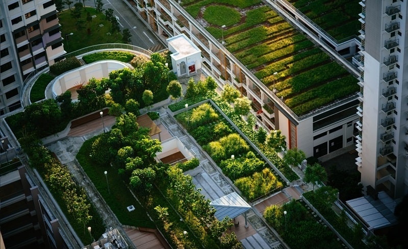 ecosistemi_città_ricerca_ENEA.jpg