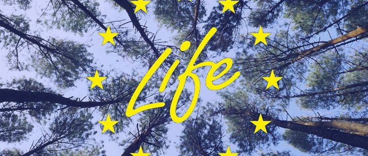 life-bandi-2021-730x310.jpg