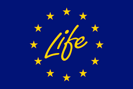 LIFE-2022 (1).png
